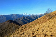 mtodan23 009m